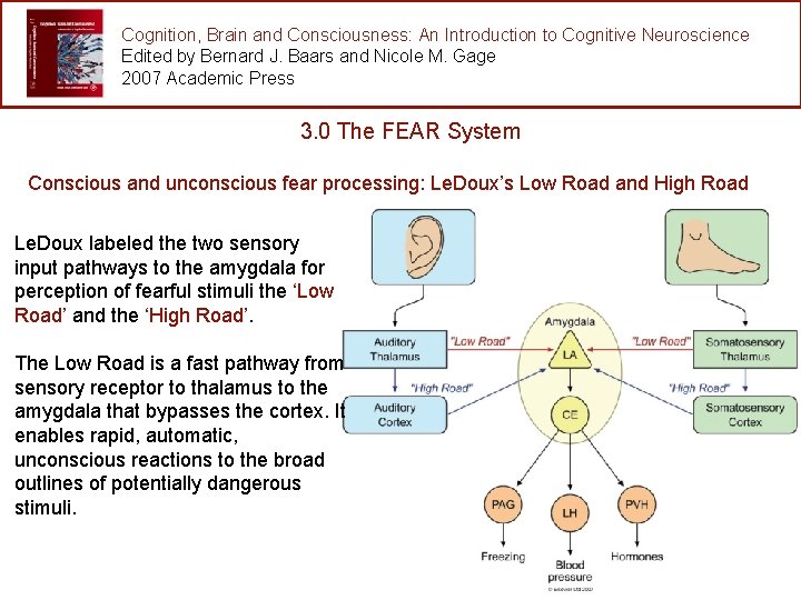 Cognition, Brain and Consciousness: An Introduction to Cognitive Neuroscience Edited by Bernard J. Baars