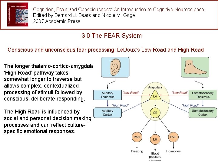 Cognition, Brain and Consciousness: An Introduction to Cognitive Neuroscience Edited by Bernard J. Baars