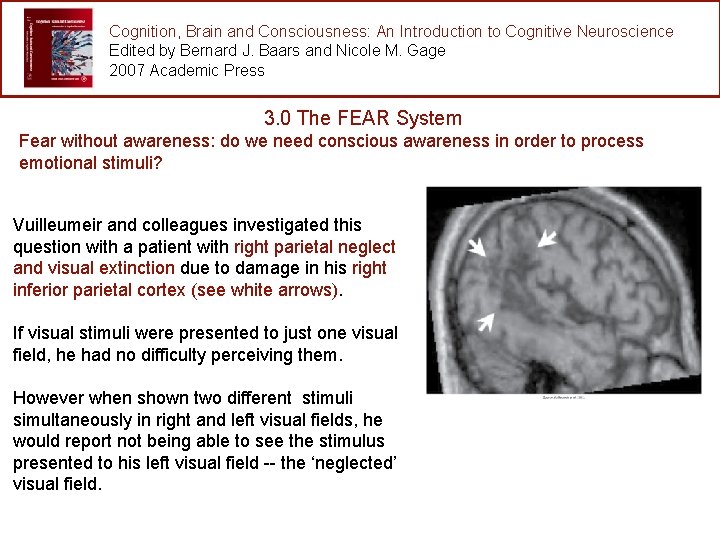 Cognition, Brain and Consciousness: An Introduction to Cognitive Neuroscience Edited by Bernard J. Baars