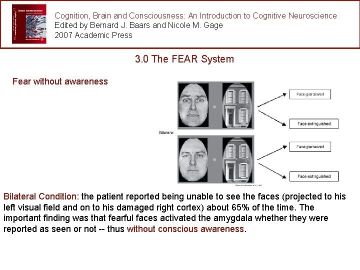 Cognition, Brain and Consciousness: An Introduction to Cognitive Neuroscience Edited by Bernard J. Baars