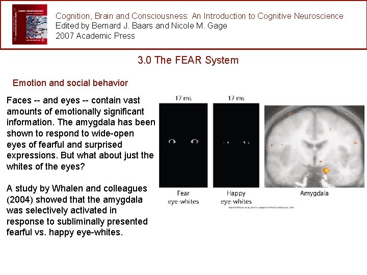 Cognition, Brain and Consciousness: An Introduction to Cognitive Neuroscience Edited by Bernard J. Baars