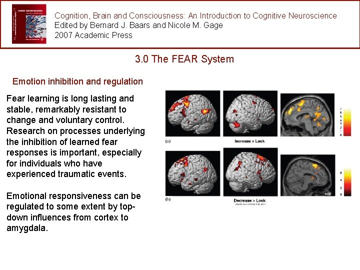 Cognition, Brain and Consciousness: An Introduction to Cognitive Neuroscience Edited by Bernard J. Baars