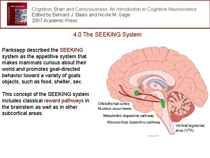 Cognition, Brain and Consciousness: An Introduction to Cognitive Neuroscience Edited by Bernard J. Baars