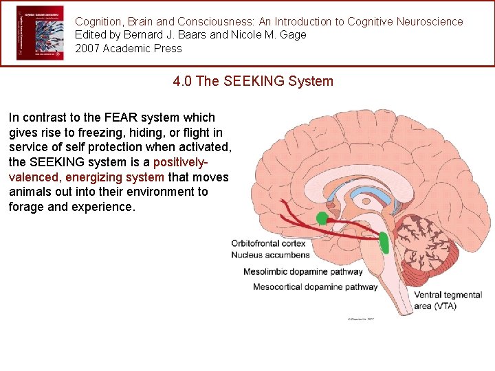 Cognition, Brain and Consciousness: An Introduction to Cognitive Neuroscience Edited by Bernard J. Baars