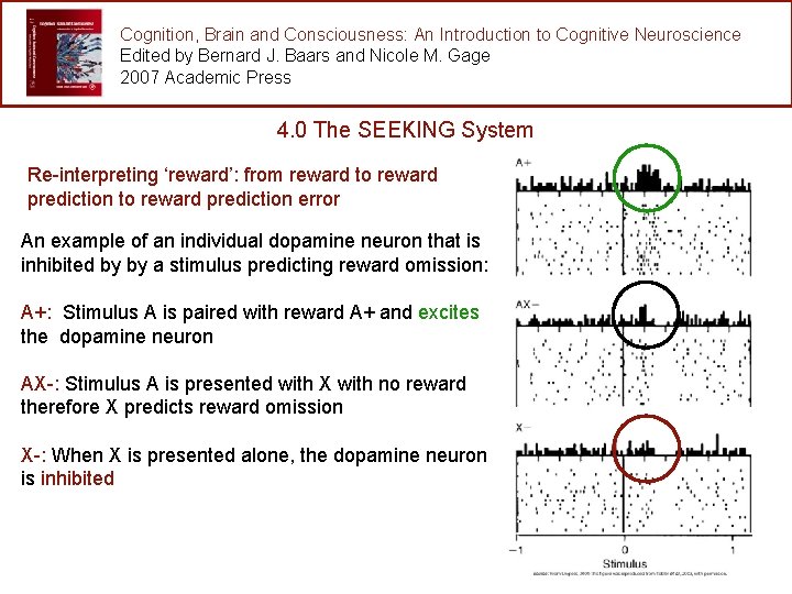 Cognition, Brain and Consciousness: An Introduction to Cognitive Neuroscience Edited by Bernard J. Baars