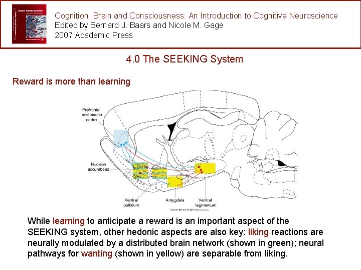 Cognition, Brain and Consciousness: An Introduction to Cognitive Neuroscience Edited by Bernard J. Baars