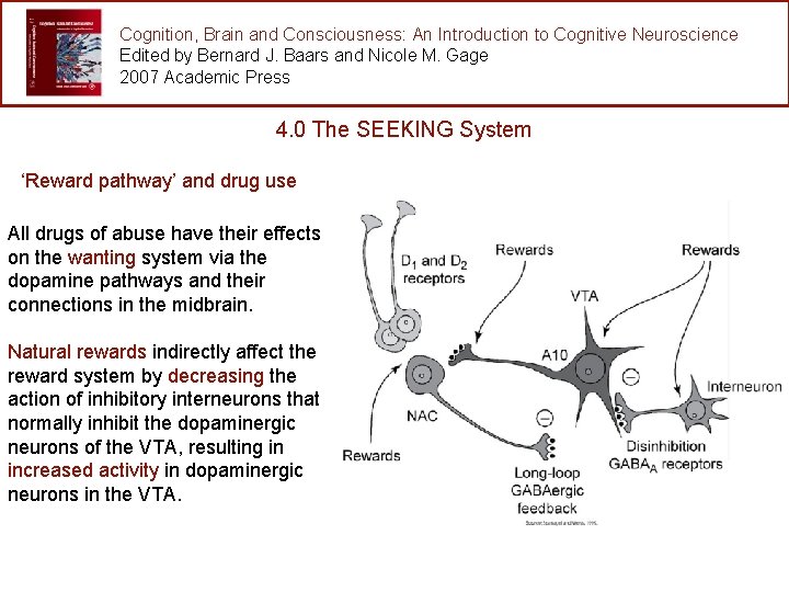 Cognition, Brain and Consciousness: An Introduction to Cognitive Neuroscience Edited by Bernard J. Baars