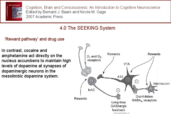 Cognition, Brain and Consciousness: An Introduction to Cognitive Neuroscience Edited by Bernard J. Baars