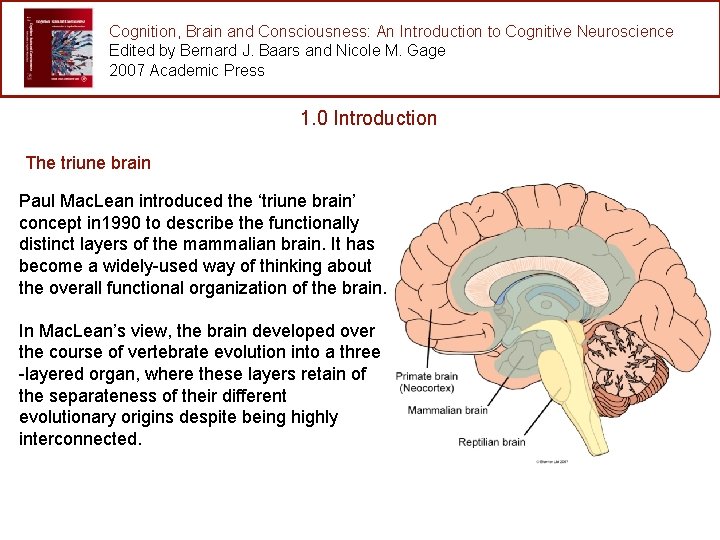 Cognition, Brain and Consciousness: An Introduction to Cognitive Neuroscience Edited by Bernard J. Baars