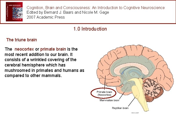 Cognition, Brain and Consciousness: An Introduction to Cognitive Neuroscience Edited by Bernard J. Baars