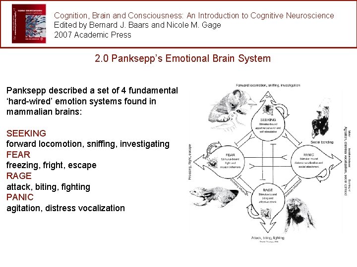 Cognition, Brain and Consciousness: An Introduction to Cognitive Neuroscience Edited by Bernard J. Baars