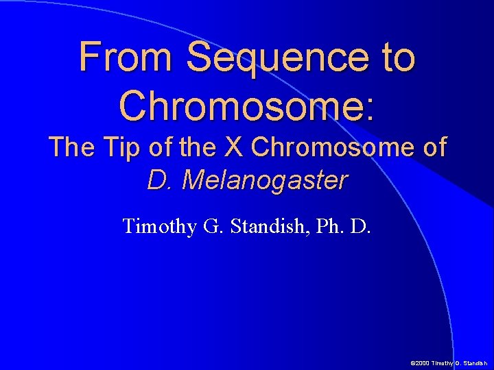From Sequence to Chromosome: The Tip of the X Chromosome of D. Melanogaster Timothy