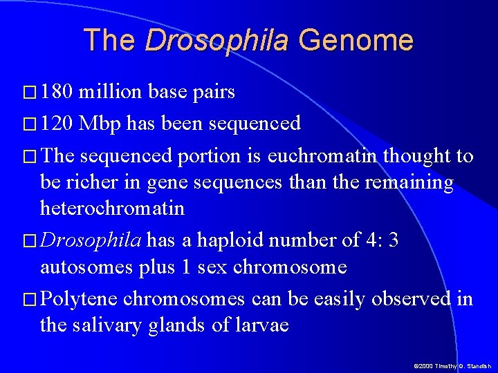 The Drosophila Genome � 180 million base pairs � 120 Mbp has been sequenced