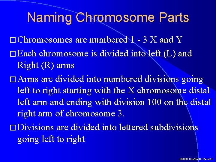 Naming Chromosome Parts � Chromosomes are numbered 1 - 3 X and Y �