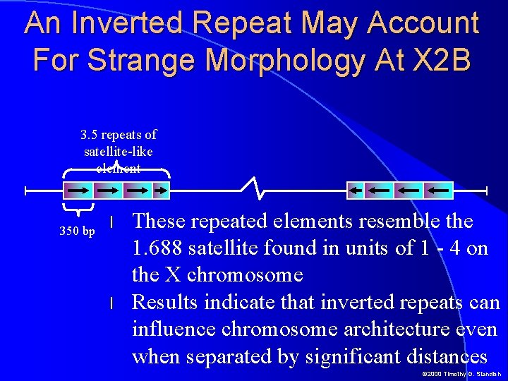 An Inverted Repeat May Account For Strange Morphology At X 2 B 3. 5