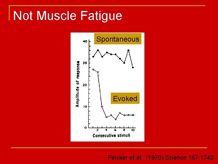Not Muscle Fatigue Spontaneous Evoked Pinsker et al. , (1970) Science 167: 1740 