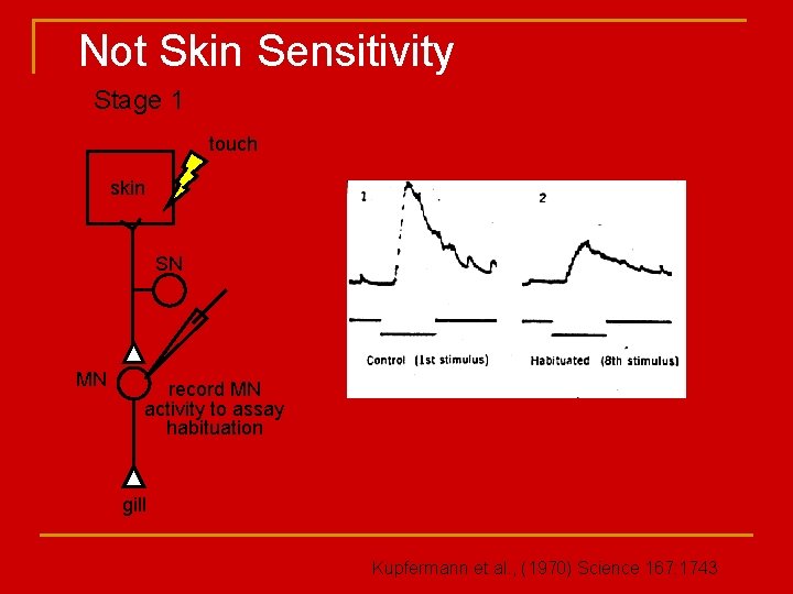 Not Skin Sensitivity Stage 1 touch skin SN MN record MN activity to assay