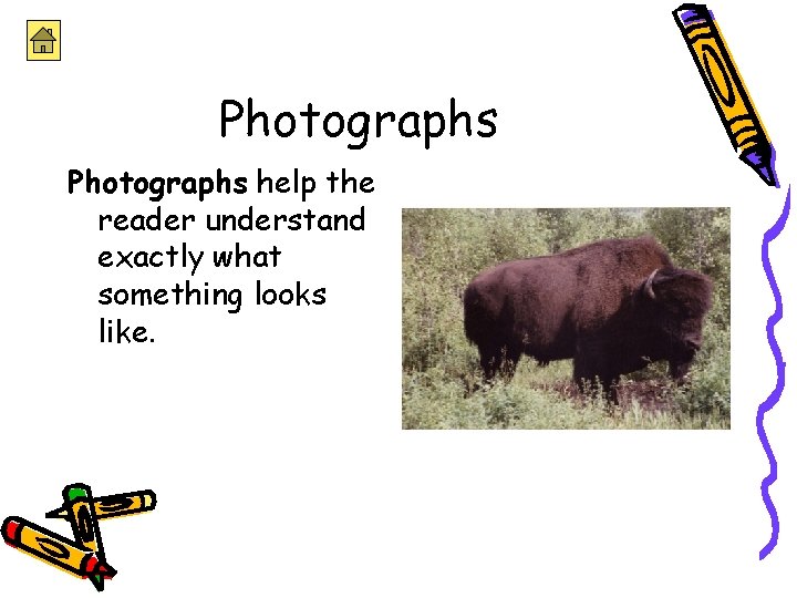 Photographs help the reader understand exactly what something looks like. 