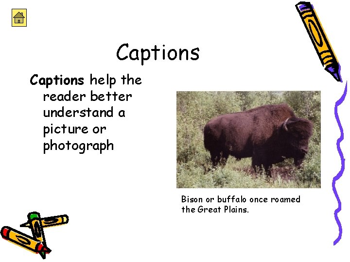 Captions help the reader better understand a picture or photograph Bison or buffalo once