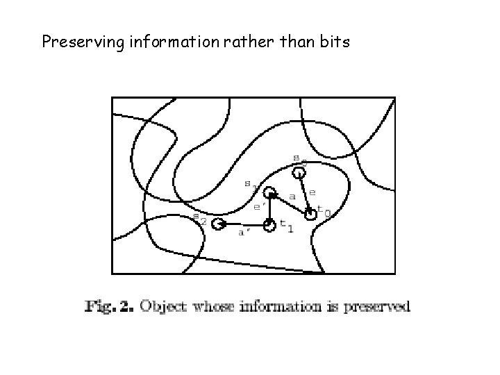 Preserving information rather than bits 