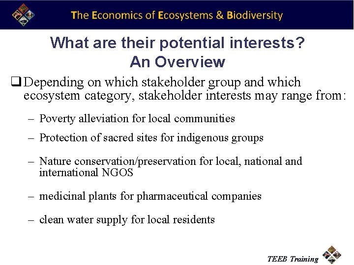 What are their potential interests? An Overview q Depending on which stakeholder group and