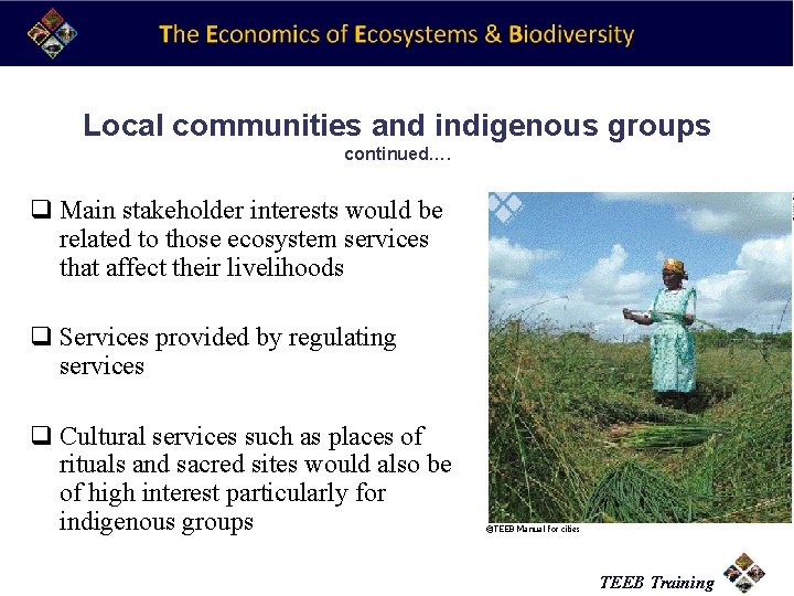 Local communities and indigenous groups continued…. q Main stakeholder interests would be related to