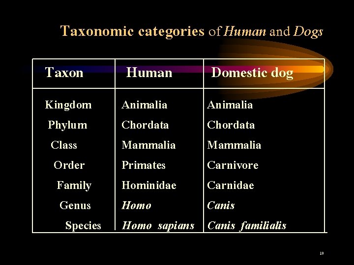 Taxonomic categories of Human and Dogs Taxon Human Domestic dog Kingdom Phylum Class Order