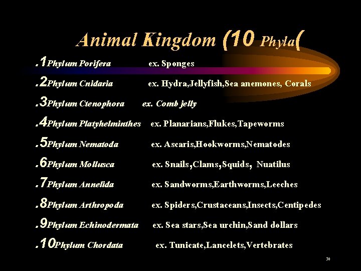 Animal Kingdom (10 Phyla( . 1 Phylum Porifera ex. Sponges. 2 Phylum Cnidaria ex.