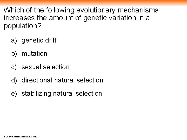 Which of the following evolutionary mechanisms increases the amount of genetic variation in a