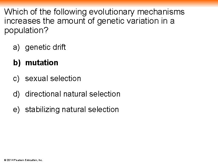 Which of the following evolutionary mechanisms increases the amount of genetic variation in a