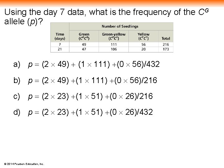 Using the day 7 data, what is the frequency of the CG allele (p)?