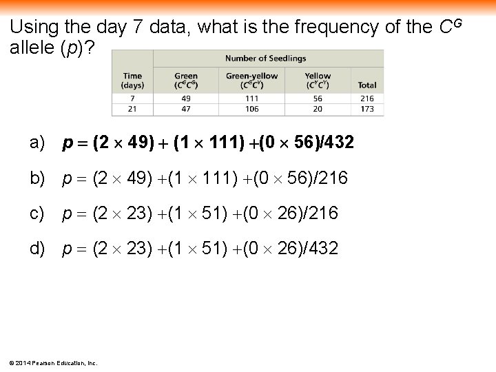 Using the day 7 data, what is the frequency of the CG allele (p)?