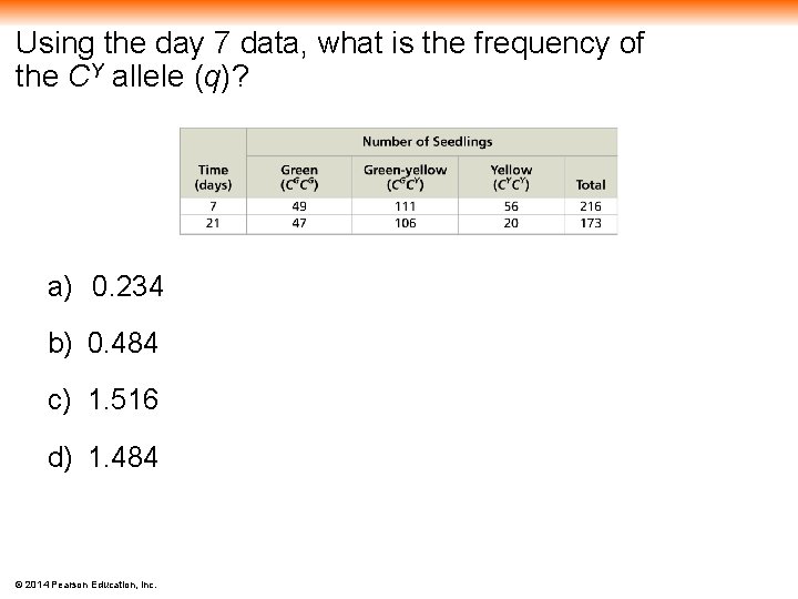 Using the day 7 data, what is the frequency of the CY allele (q)?