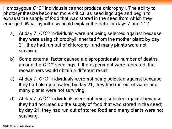 Homozygous CYCY individuals cannot produce chlorophyll. The ability to photosynthesize becomes more critical as