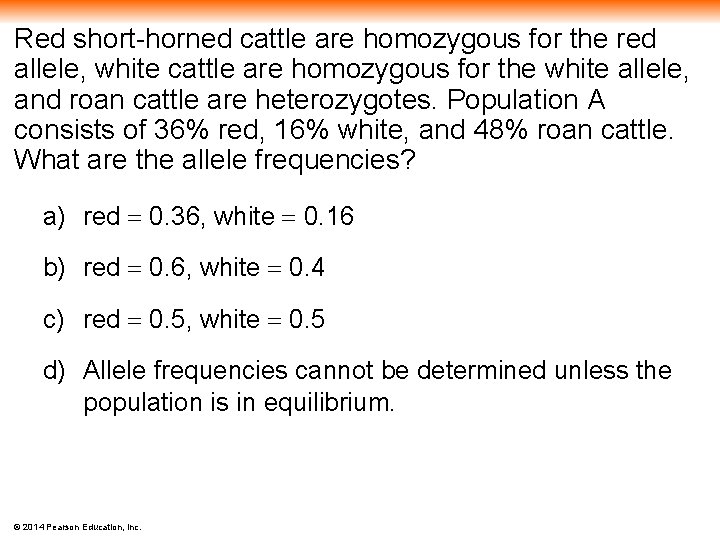 Red short-horned cattle are homozygous for the red allele, white cattle are homozygous for