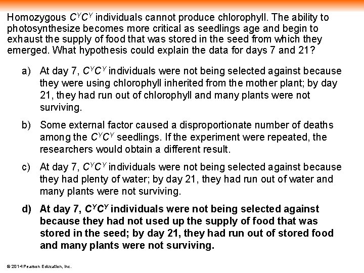 Homozygous CYCY individuals cannot produce chlorophyll. The ability to photosynthesize becomes more critical as
