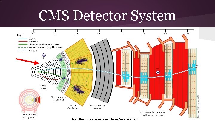 CMS Detector System Image Credit: hep: //home. web. cern. ch/about/experiments/cms 