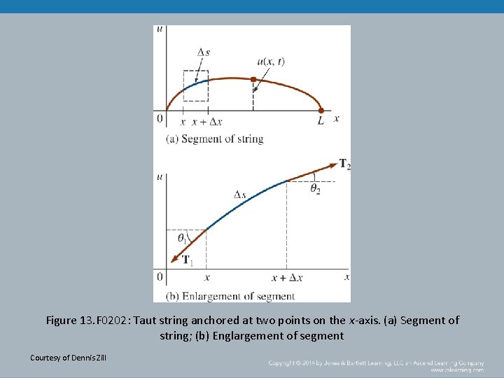 Figure 13. F 0202: Taut string anchored at two points on the x-axis. (a)