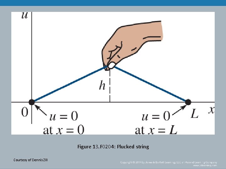 Figure 13. F 0204: Plucked string Courtesy of Dennis Zill 