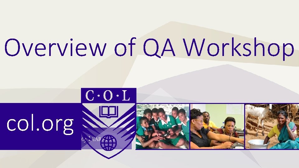 Overview of QA Workshop col. org 