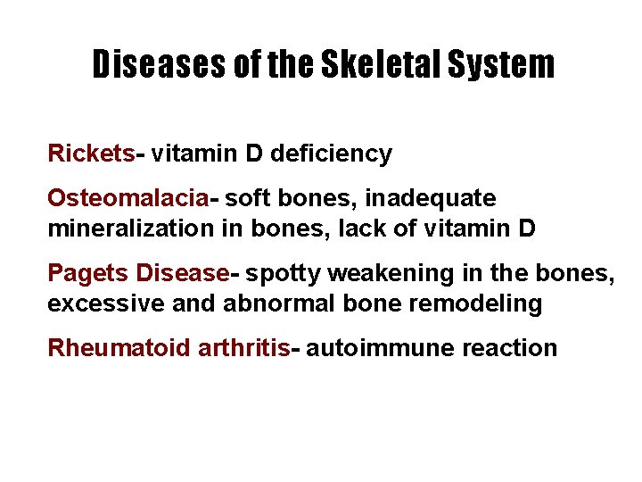 Diseases of the Skeletal System Rickets- vitamin D deficiency Osteomalacia- soft bones, inadequate mineralization