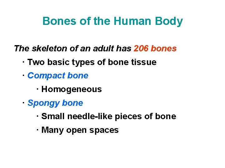 Bones of the Human Body The skeleton of an adult has 206 bones ·
