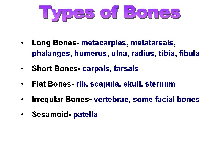  • Long Bones- metacarples, metatarsals, phalanges, humerus, ulna, radius, tibia, fibula • Short