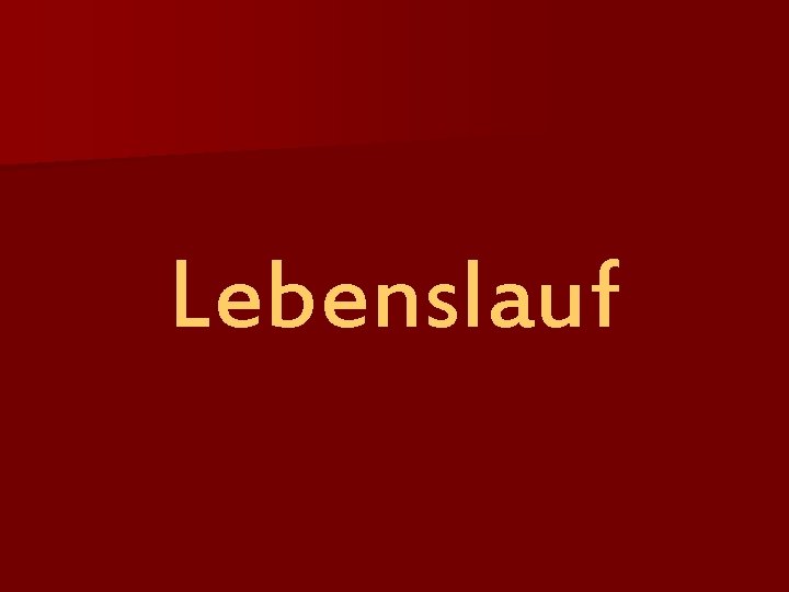 Lebenslauf 