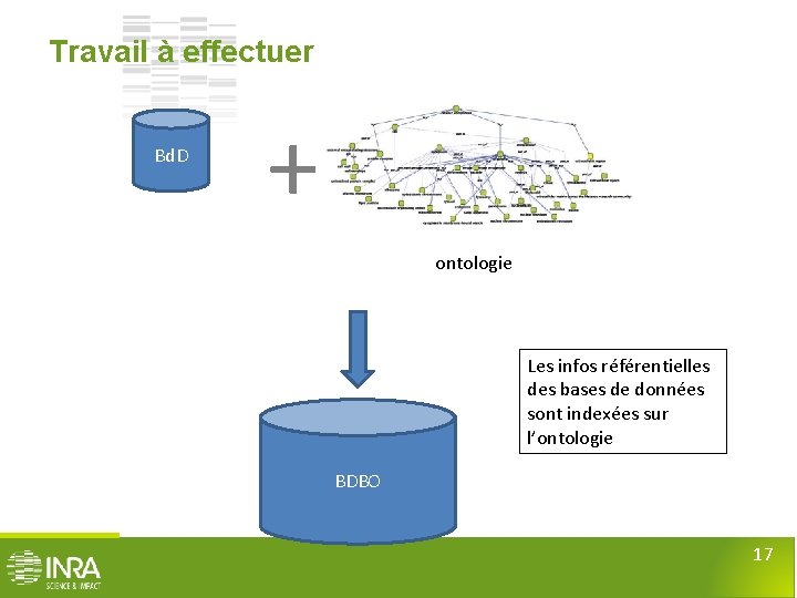 Travail à effectuer Bd. D + ontologie Les infos référentielles des bases de données