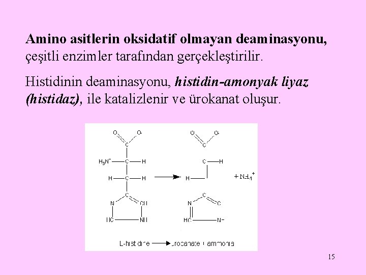 Amino asitlerin oksidatif olmayan deaminasyonu, çeşitli enzimler tarafından gerçekleştirilir. Histidinin deaminasyonu, histidin-amonyak liyaz (histidaz),