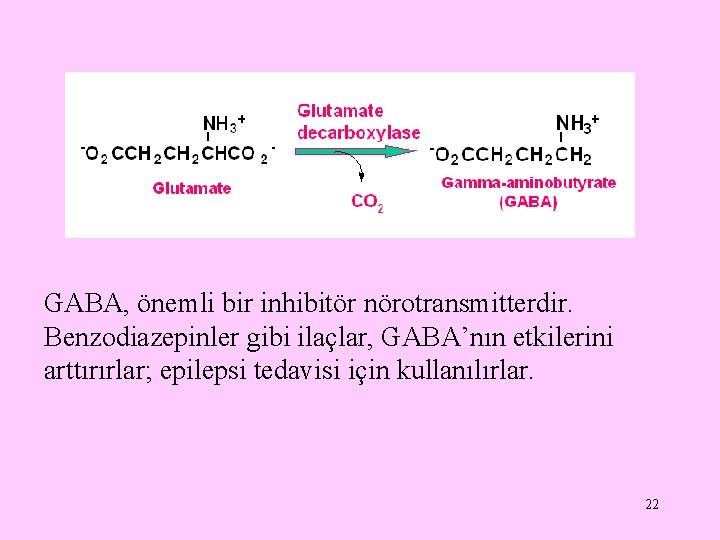 GABA, önemli bir inhibitör nörotransmitterdir. Benzodiazepinler gibi ilaçlar, GABA’nın etkilerini arttırırlar; epilepsi tedavisi için