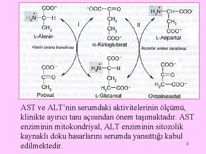 AST ve ALT’nin serumdaki aktivitelerinin ölçümü, klinikte ayırıcı tanı açısından önem taşımaktadır. AST enziminin