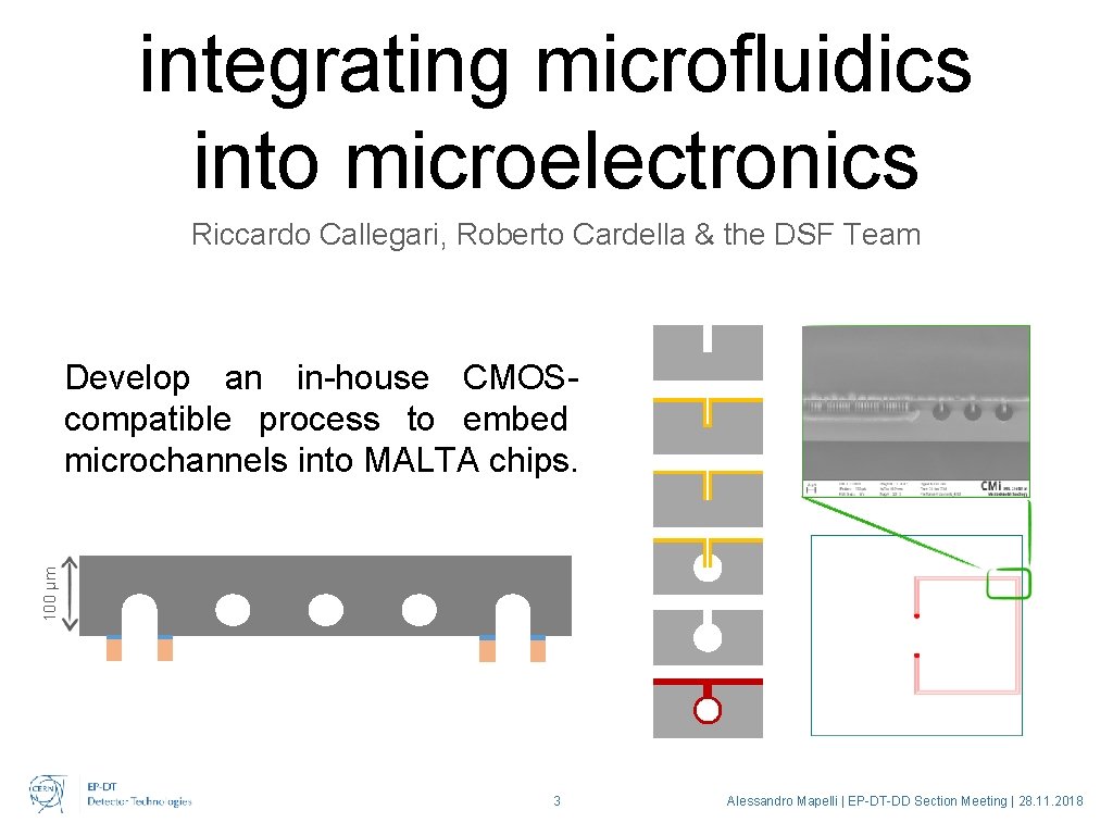integrating microfluidics into microelectronics Riccardo Callegari, Roberto Cardella & the DSF Team 100 µm