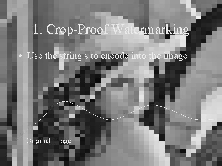 1: Crop-Proof Watermarking • Use the string s to encode into the image Original